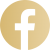 FB Icon